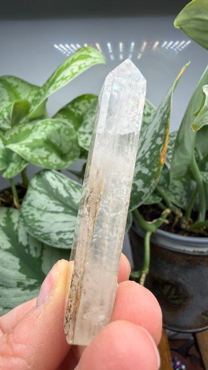 Garden Quartz/Lodolite Point- 2.625" inches tall- DENDRITES!