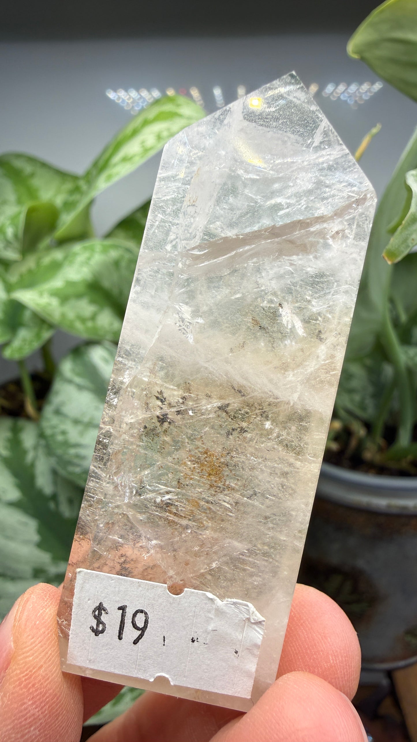 Garden Quartz/Lodolite Point- 2.625" inches tall- DENDRITES!