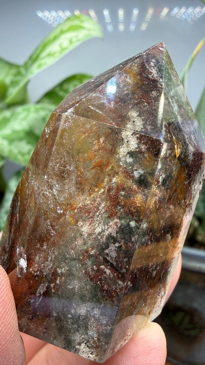 Garden Quartz/Lodolite Point- 2" inches tall