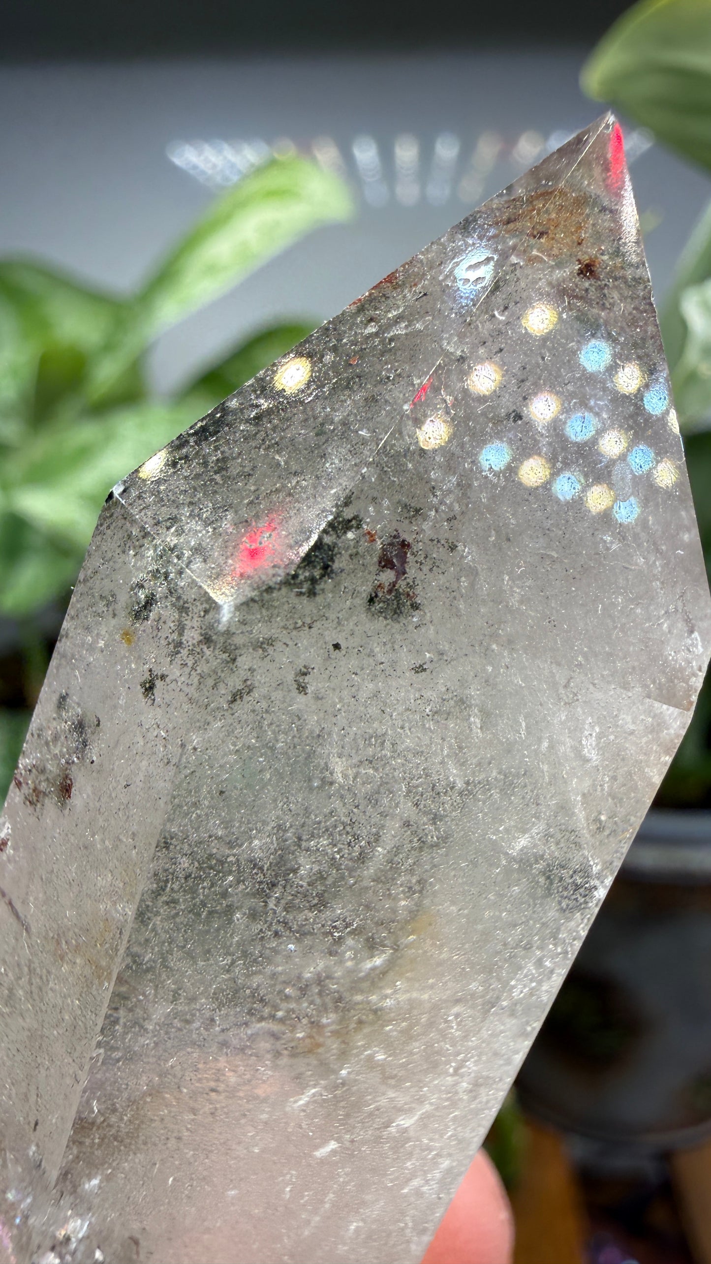 Garden Quartz/Lodolite Point- 2.5" inches tall