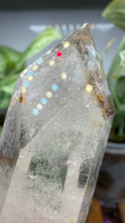 Garden Quartz/Lodolite Point- 2.5" inches tall