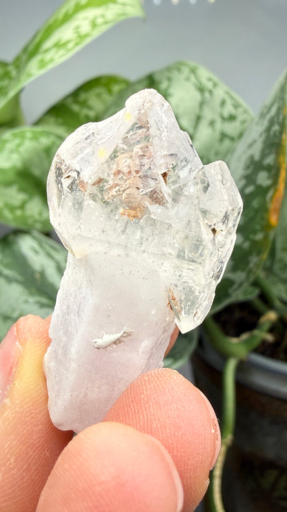 Petroleum Quartz Sceptre ("Firefly Quartz")- Madirobe, Antsalova District, Melaky, Madagascar
