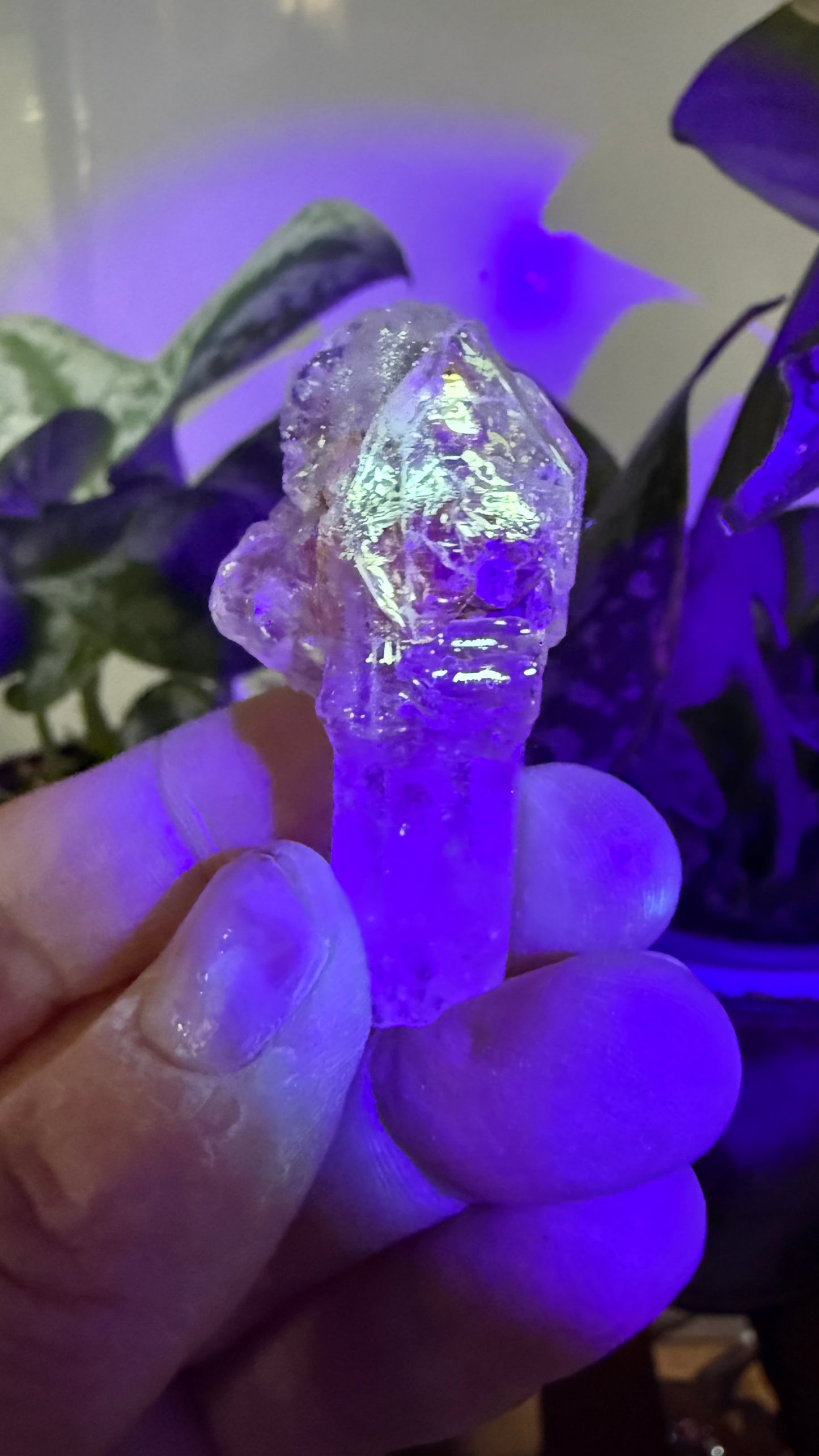 Petroleum Quartz Sceptre ("Firefly Quartz")- Madirobe, Antsalova District, Melaky, Madagascar