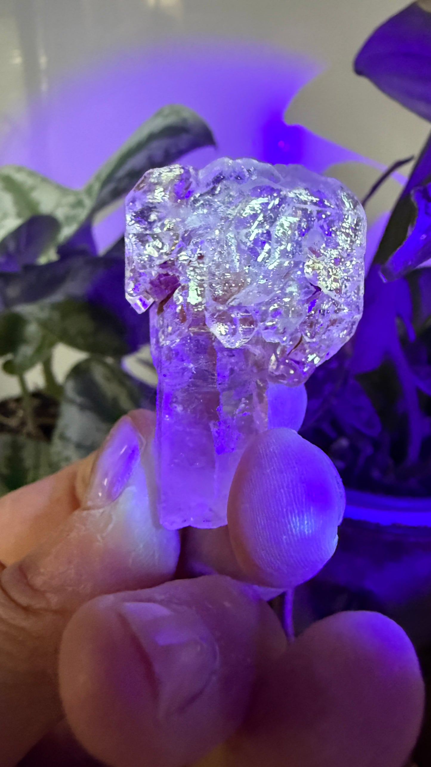 Petroleum Quartz Sceptre ("Firefly Quartz")- Madirobe, Antsalova District, Melaky, Madagascar