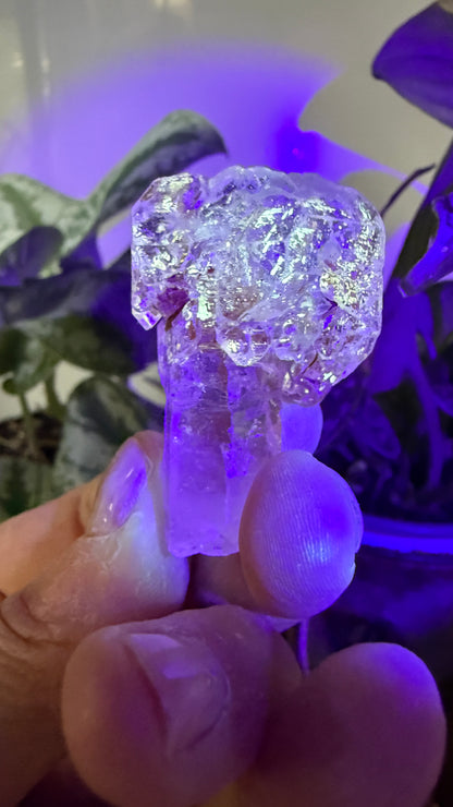Petroleum Quartz Sceptre ("Firefly Quartz")- Madirobe, Antsalova District, Melaky, Madagascar