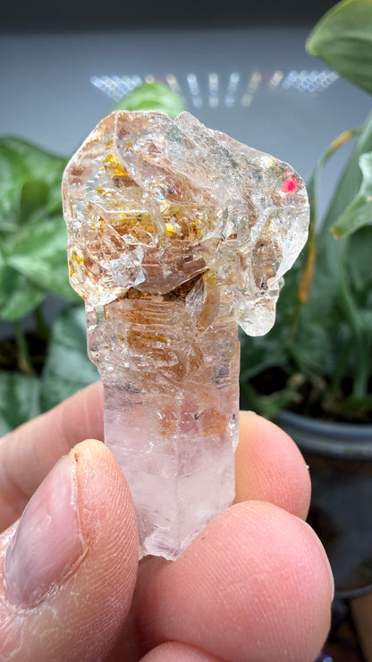 Petroleum Quartz Sceptre ("Firefly Quartz")- Madirobe, Antsalova District, Melaky, Madagascar