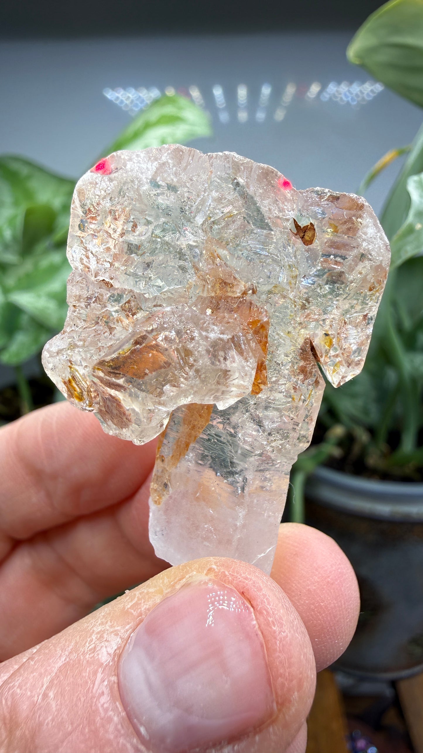Petroleum Quartz Sceptre ("Firefly Quartz")- Madirobe, Antsalova District, Melaky, Madagascar