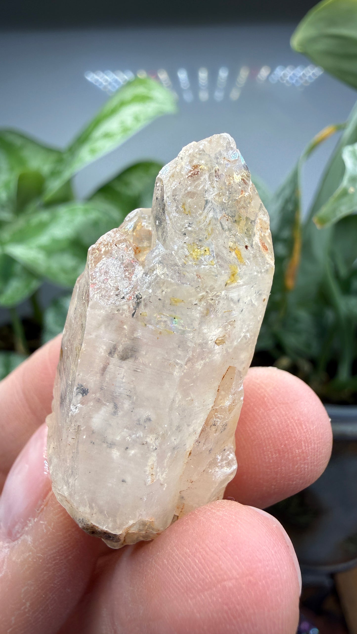 Petroleum Quartz ("Firefly Quartz")- Madirobe, Antsalova District, Melaky, Madagascar