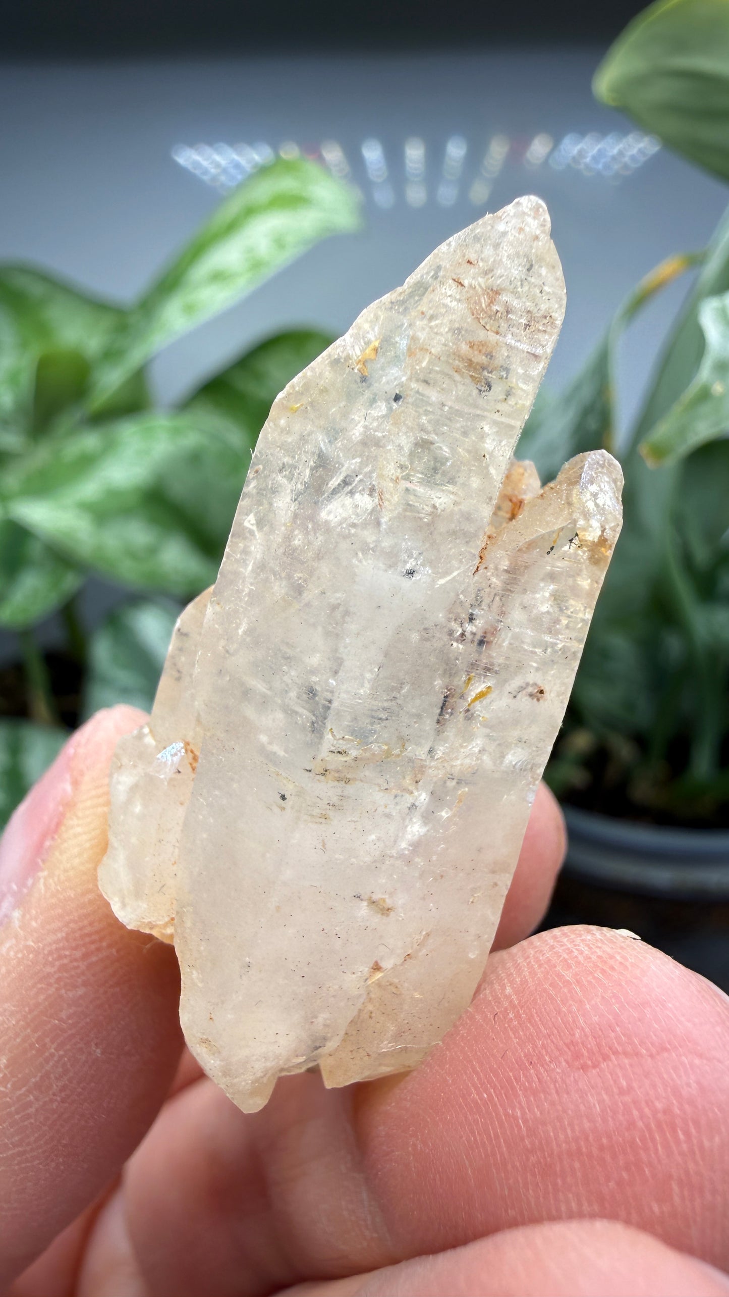 Petroleum Quartz ("Firefly Quartz")- Madirobe, Antsalova District, Melaky, Madagascar