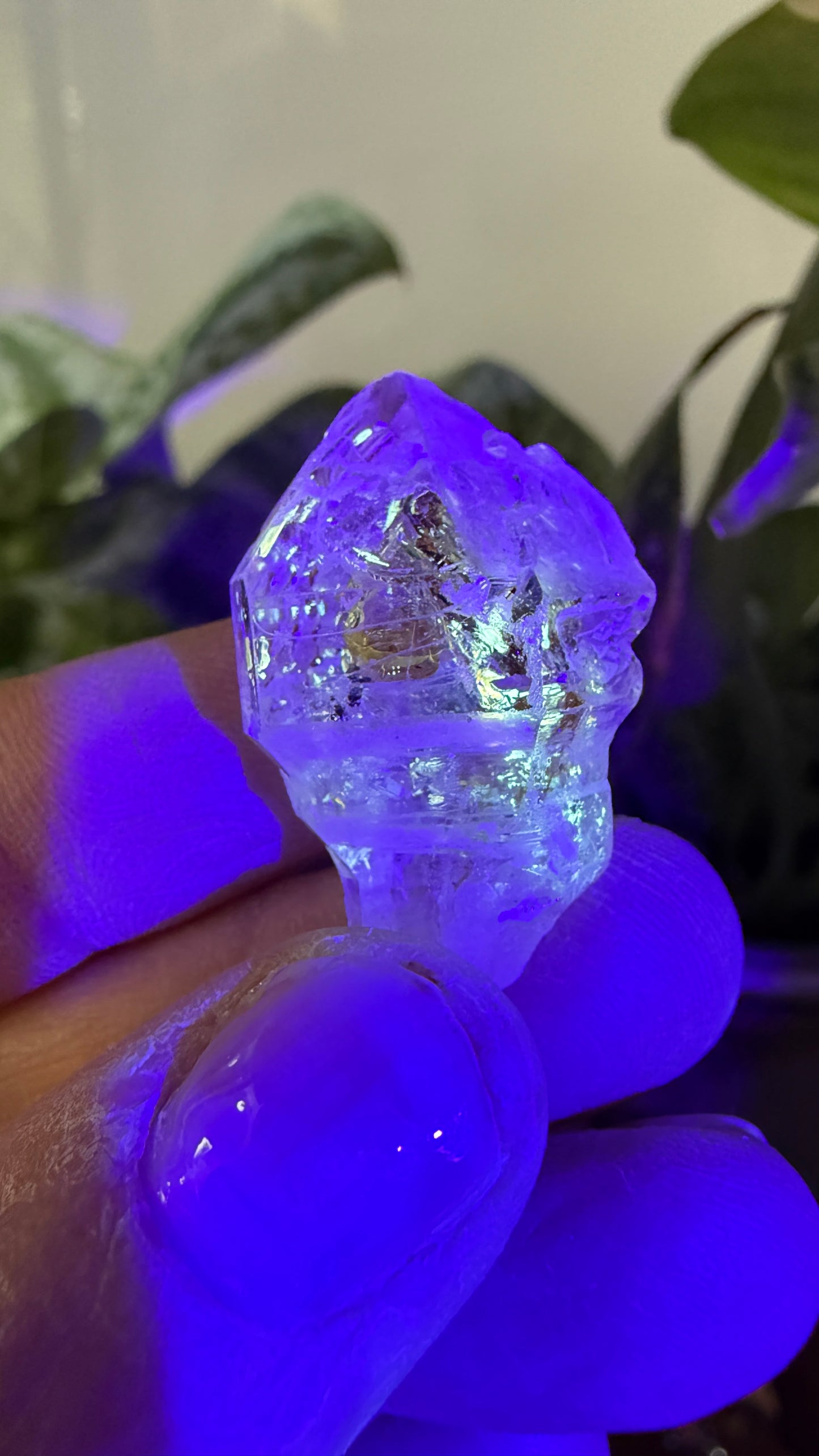 Petroleum Quartz Sceptre ("Firefly Quartz")- Madirobe, Antsalova District, Melaky, Madagascar