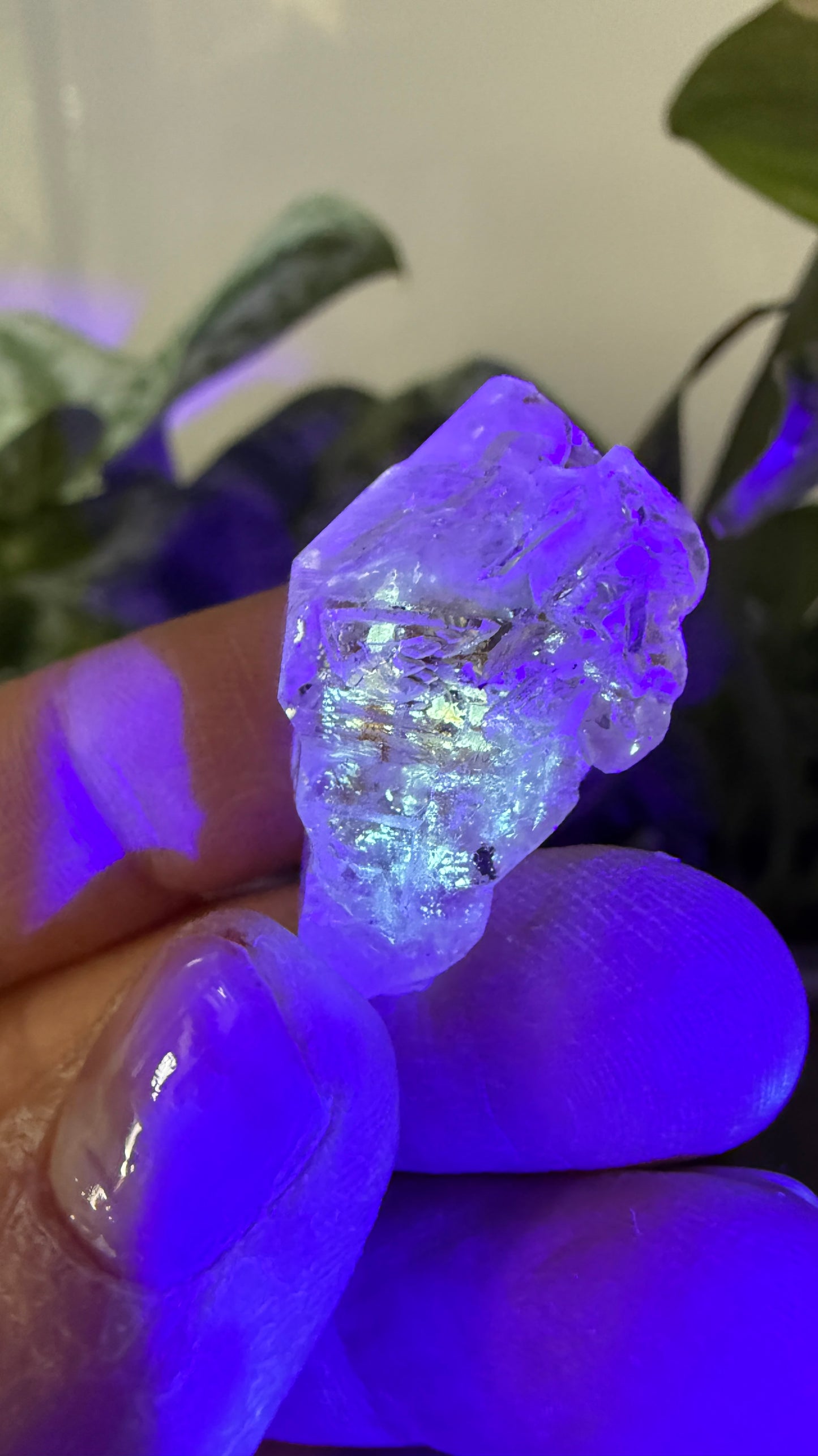 Petroleum Quartz Sceptre ("Firefly Quartz")- Madirobe, Antsalova District, Melaky, Madagascar