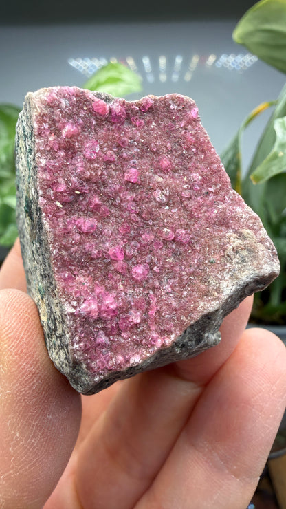 Calcite (Var: Cobalt-bearing Calcite)- Mashamba West Mine, Mutshatsha, Lualaba, DR Congo