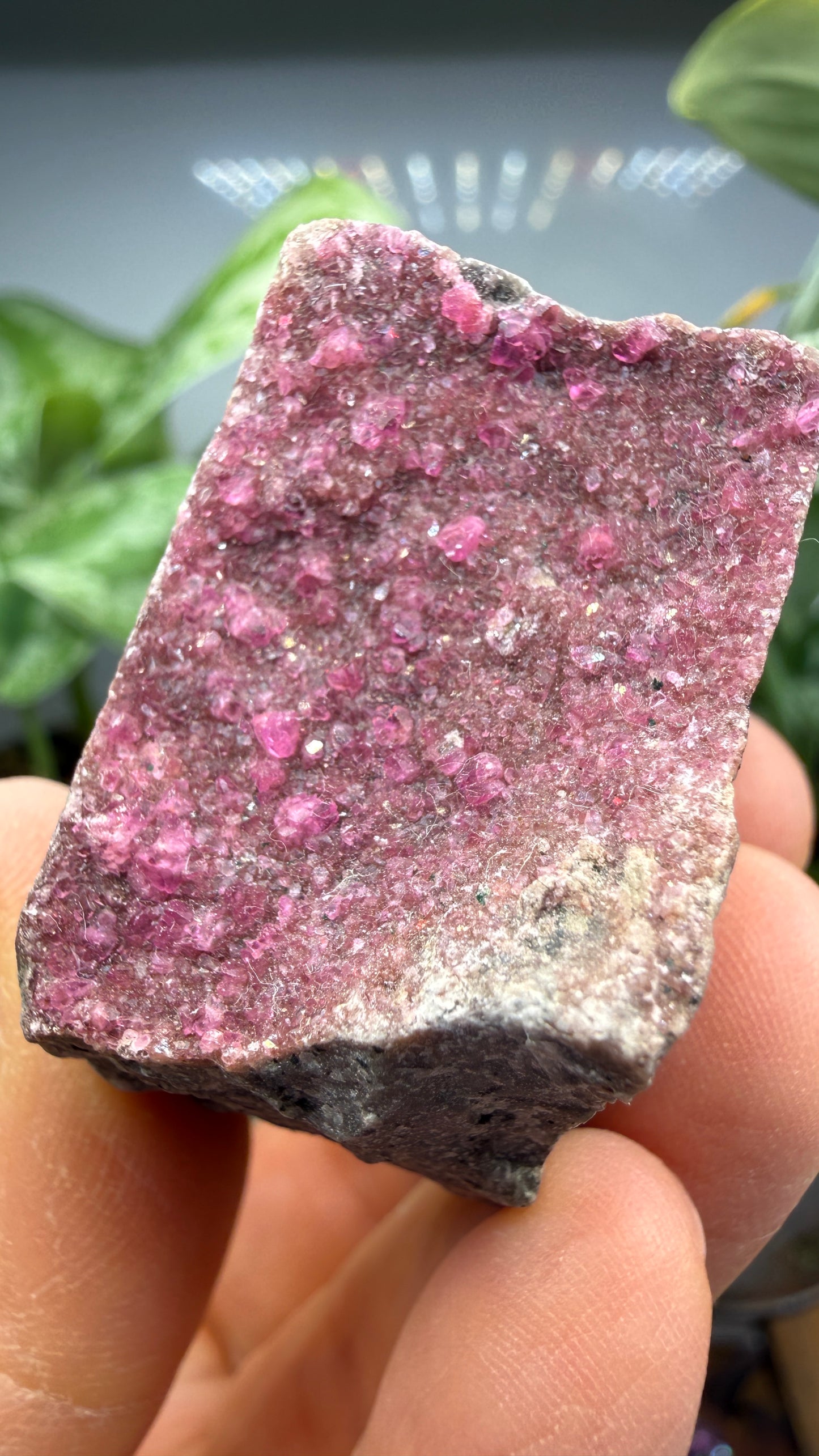 Calcite (Var: Cobalt-bearing Calcite)- Mashamba West Mine, Mutshatsha, Lualaba, DR Congo