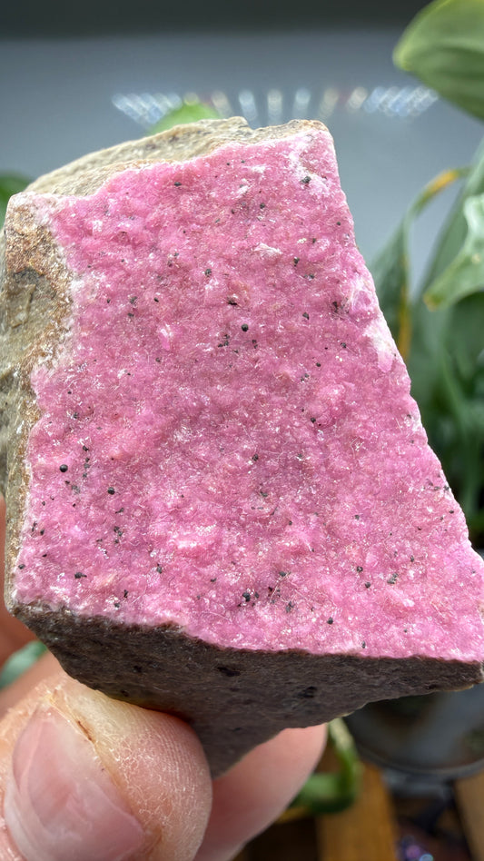 Calcite (Var: Cobalt-bearing Calcite)- Mashamba West Mine, Mutshatsha, Lualaba, DR Congo