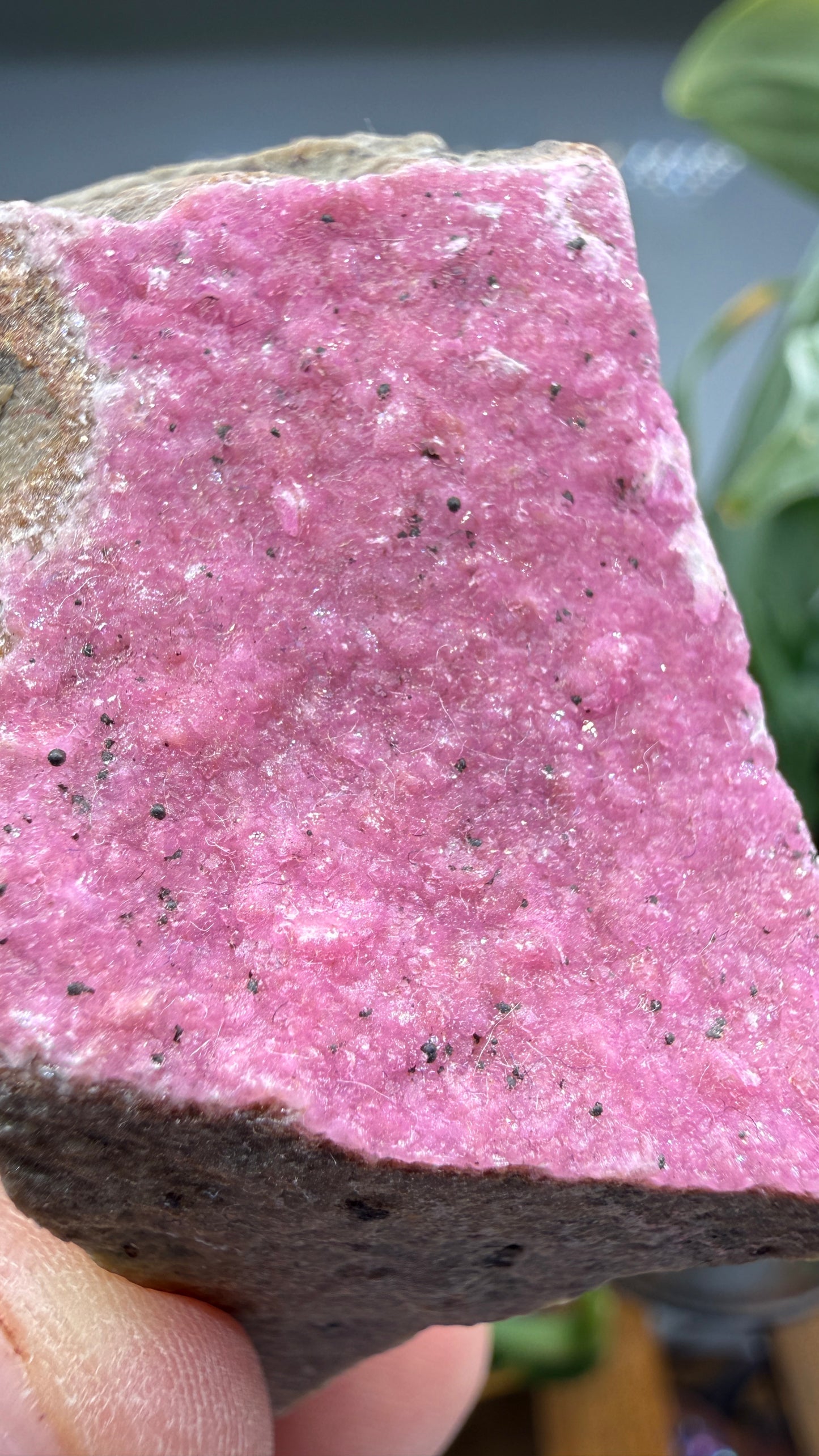 Calcite (Var: Cobalt-bearing Calcite)- Mashamba West Mine, Mutshatsha, Lualaba, DR Congo