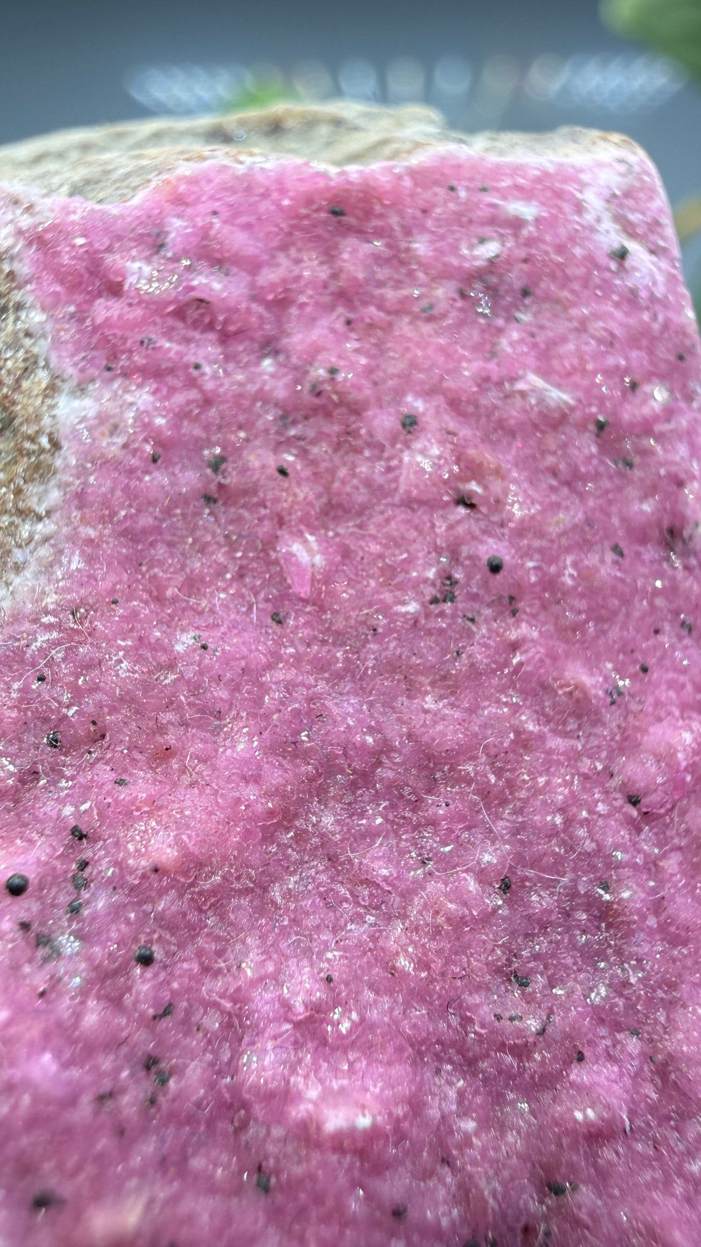 Calcite (Var: Cobalt-bearing Calcite)- Mashamba West Mine, Mutshatsha, Lualaba, DR Congo