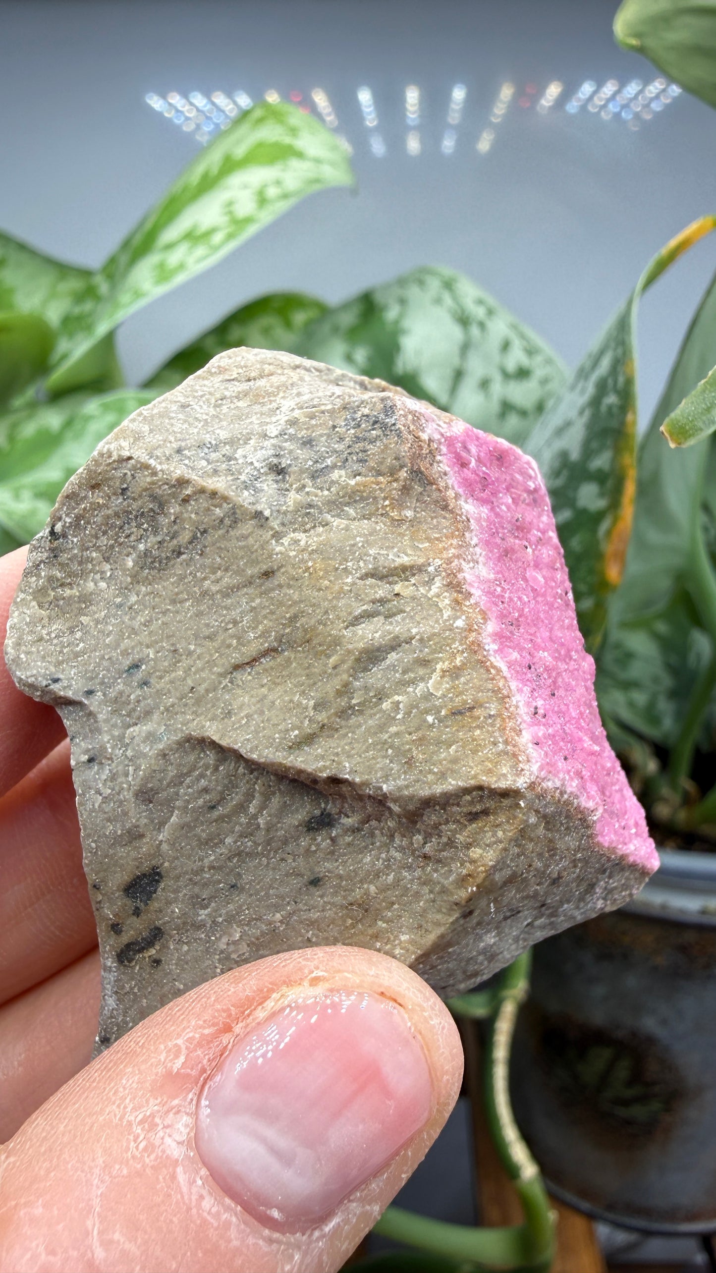 Calcite (Var: Cobalt-bearing Calcite)- Mashamba West Mine, Mutshatsha, Lualaba, DR Congo