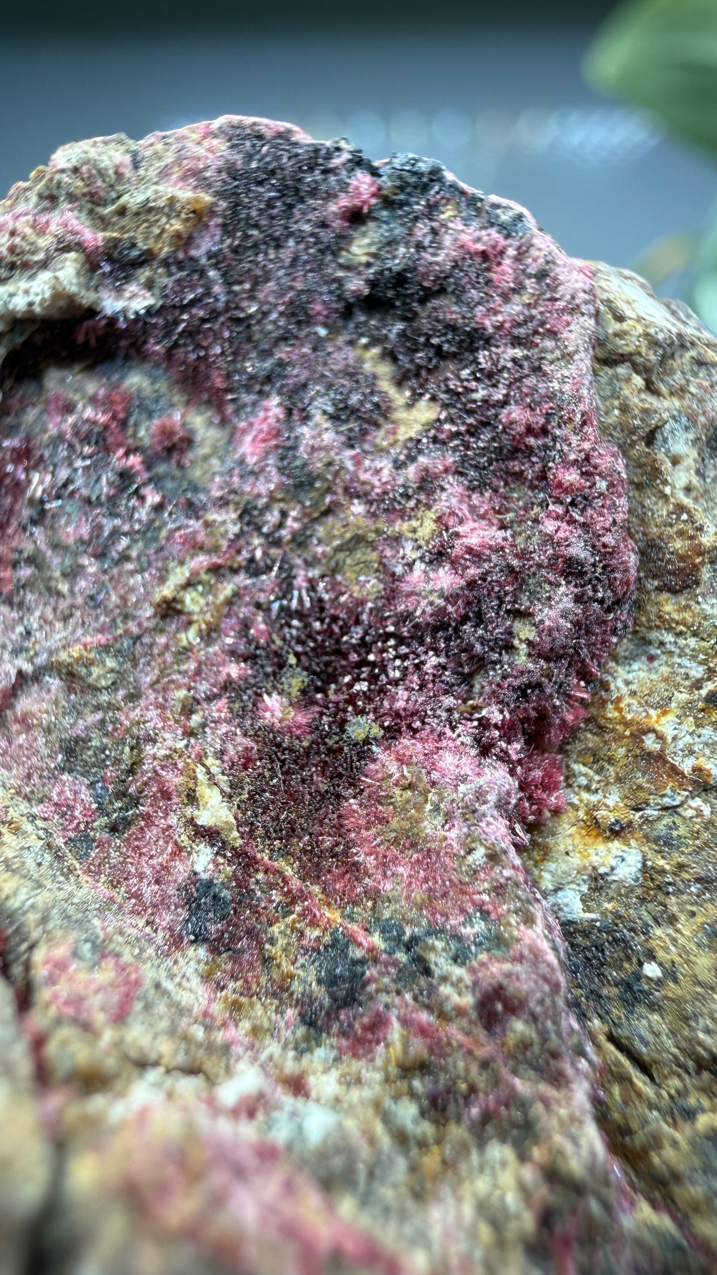 Erythrite- Sara Alicia Mine, San Bernardo, Álamos Municipality, Sonora, Mexico