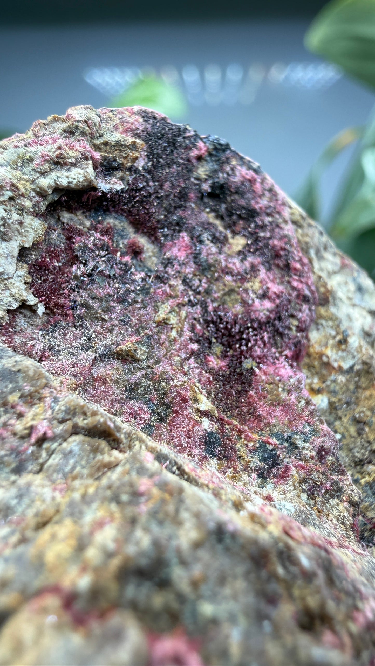 Erythrite- Sara Alicia Mine, San Bernardo, Álamos Municipality, Sonora, Mexico