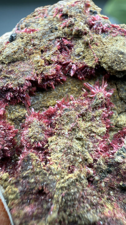 Erythrite- Sara Alicia Mine, San Bernardo, Álamos Municipality, Sonora, Mexico