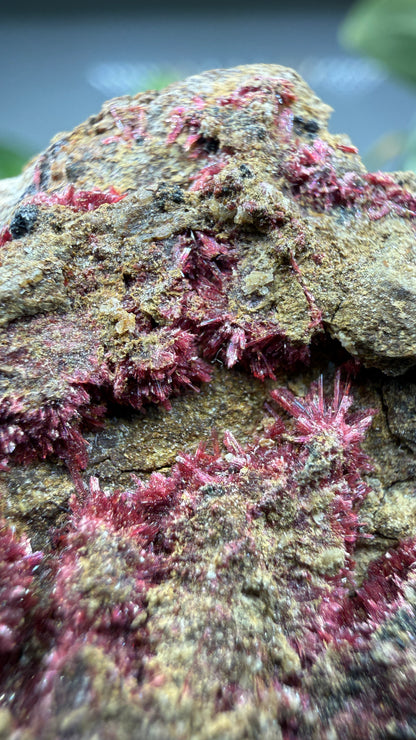 Erythrite- Sara Alicia Mine, San Bernardo, Álamos Municipality, Sonora, Mexico
