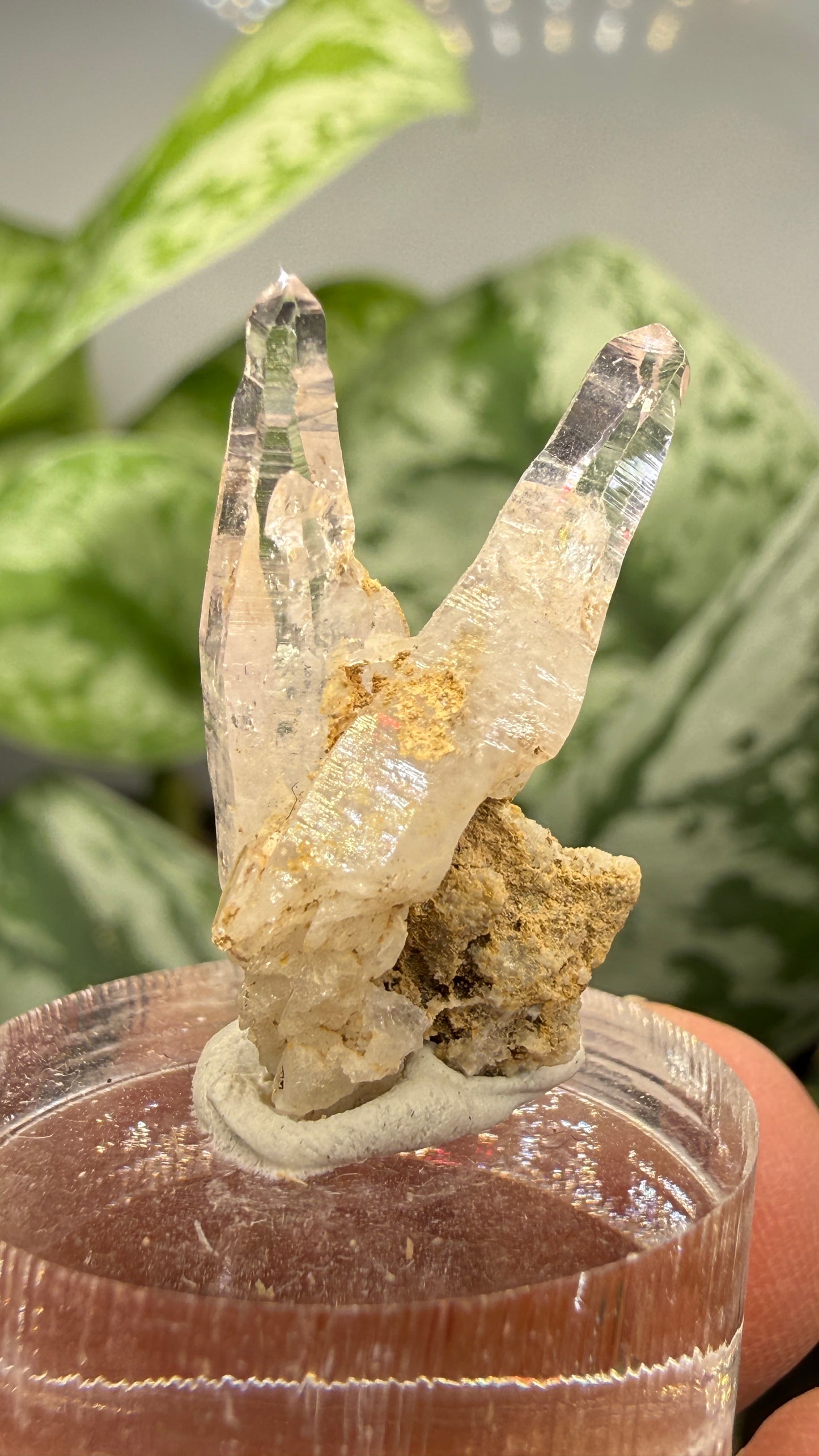 Amethyst- Las Vigas de Ramírez Municipality, Veracruz, Mexico