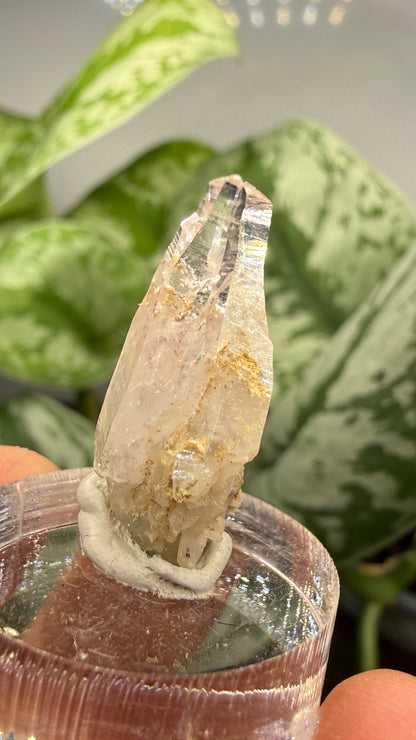 Amethyst- Las Vigas de Ramírez Municipality, Veracruz, Mexico