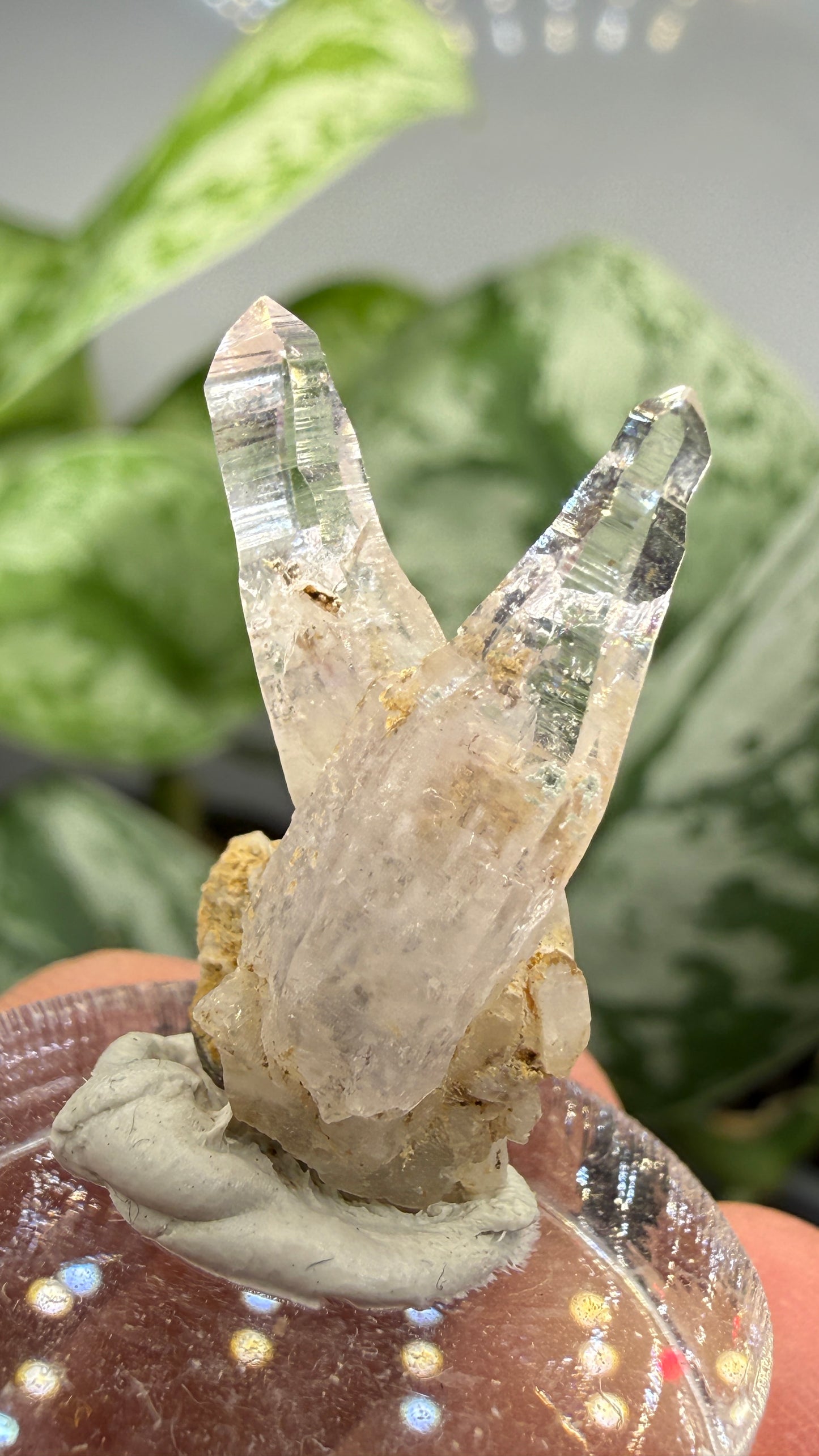 Amethyst- Las Vigas de Ramírez Municipality, Veracruz, Mexico