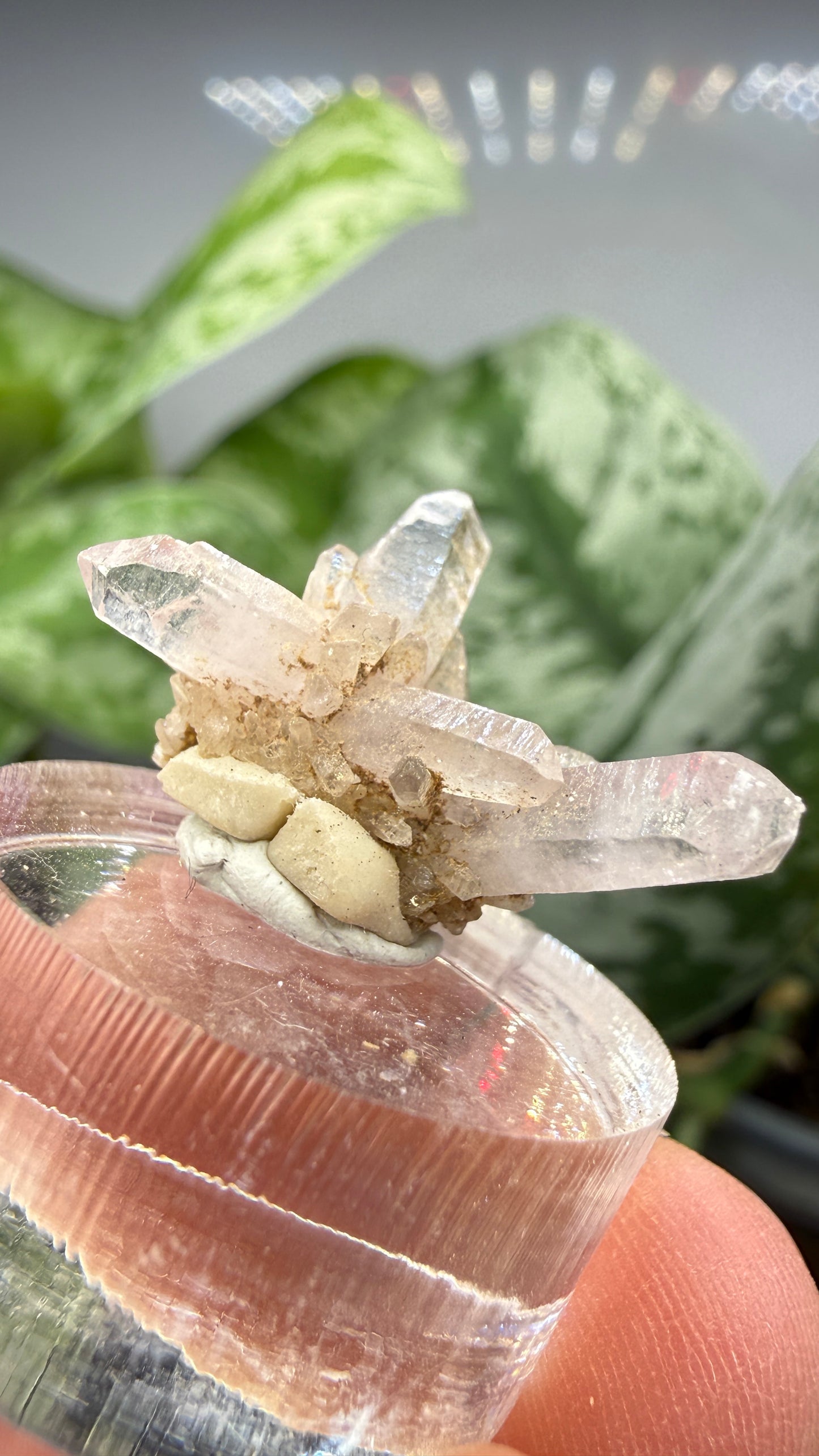 Amethyst- Las Vigas de Ramírez Municipality, Veracruz, Mexico