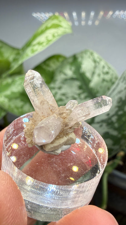 Amethyst- Las Vigas de Ramírez Municipality, Veracruz, Mexico