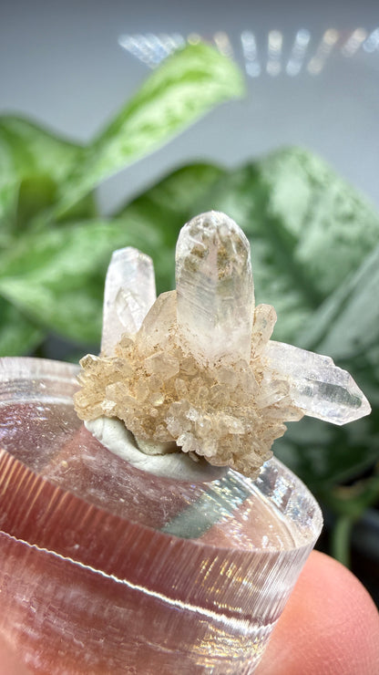 Amethyst- Las Vigas de Ramírez Municipality, Veracruz, Mexico