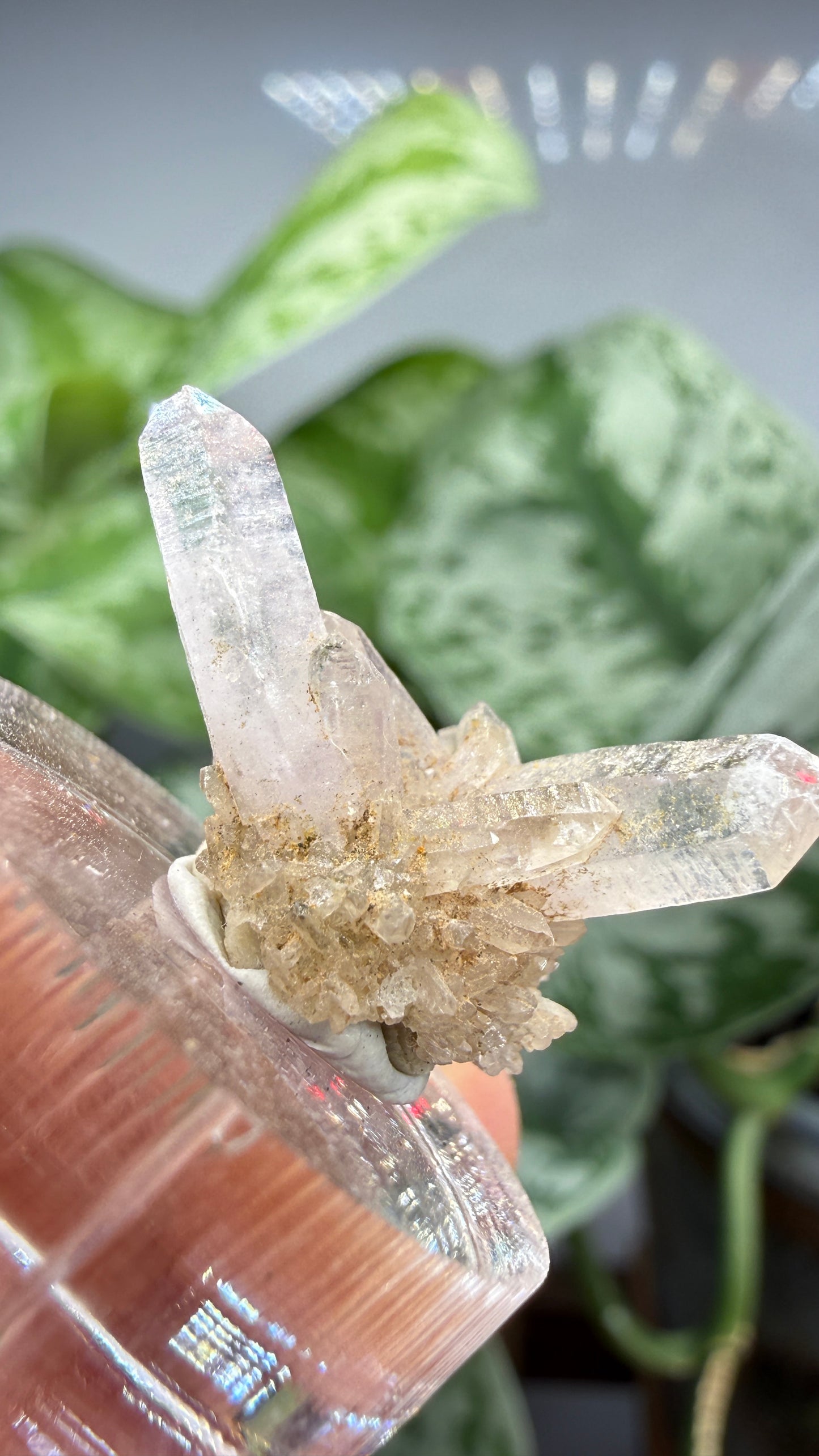 Amethyst- Las Vigas de Ramírez Municipality, Veracruz, Mexico