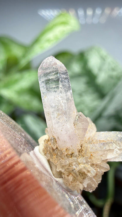 Amethyst- Las Vigas de Ramírez Municipality, Veracruz, Mexico