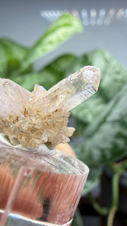 Amethyst- Las Vigas de Ramírez Municipality, Veracruz, Mexico