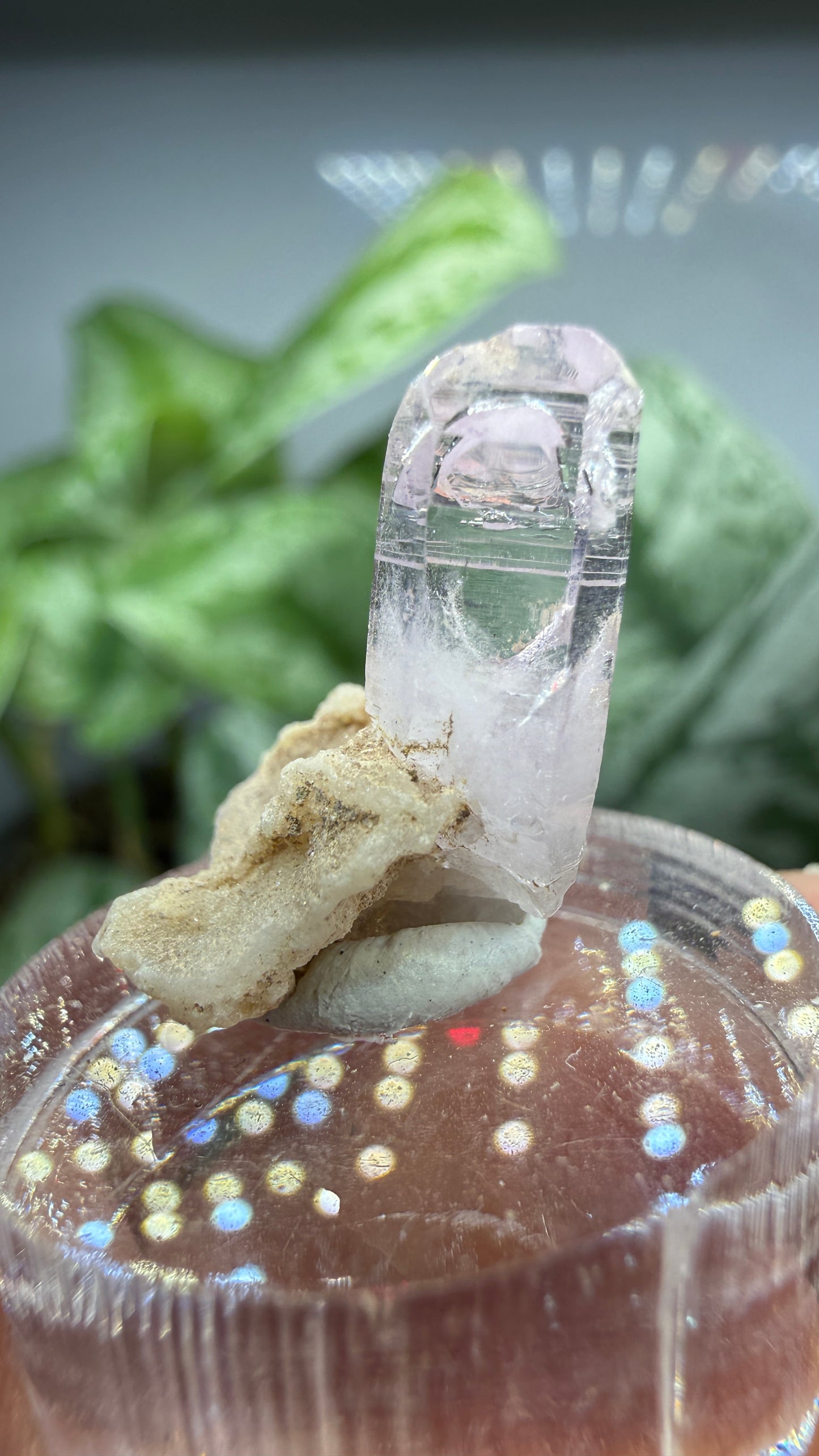 Amethyst- Las Vigas de Ramírez Municipality, Veracruz, Mexico