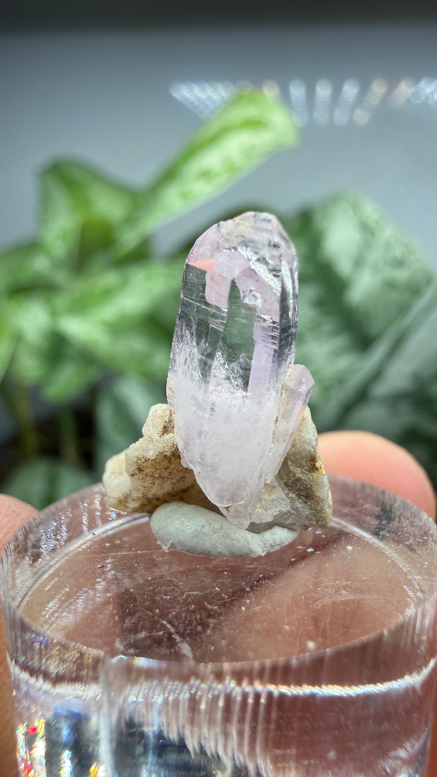 Amethyst- Las Vigas de Ramírez Municipality, Veracruz, Mexico