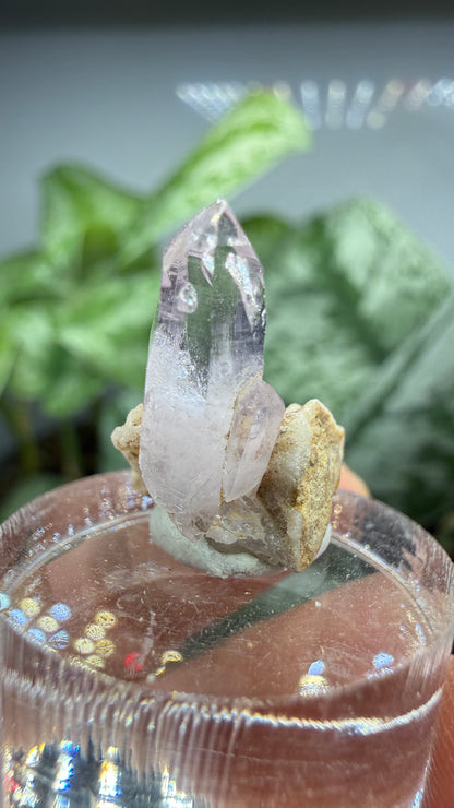 Amethyst- Las Vigas de Ramírez Municipality, Veracruz, Mexico