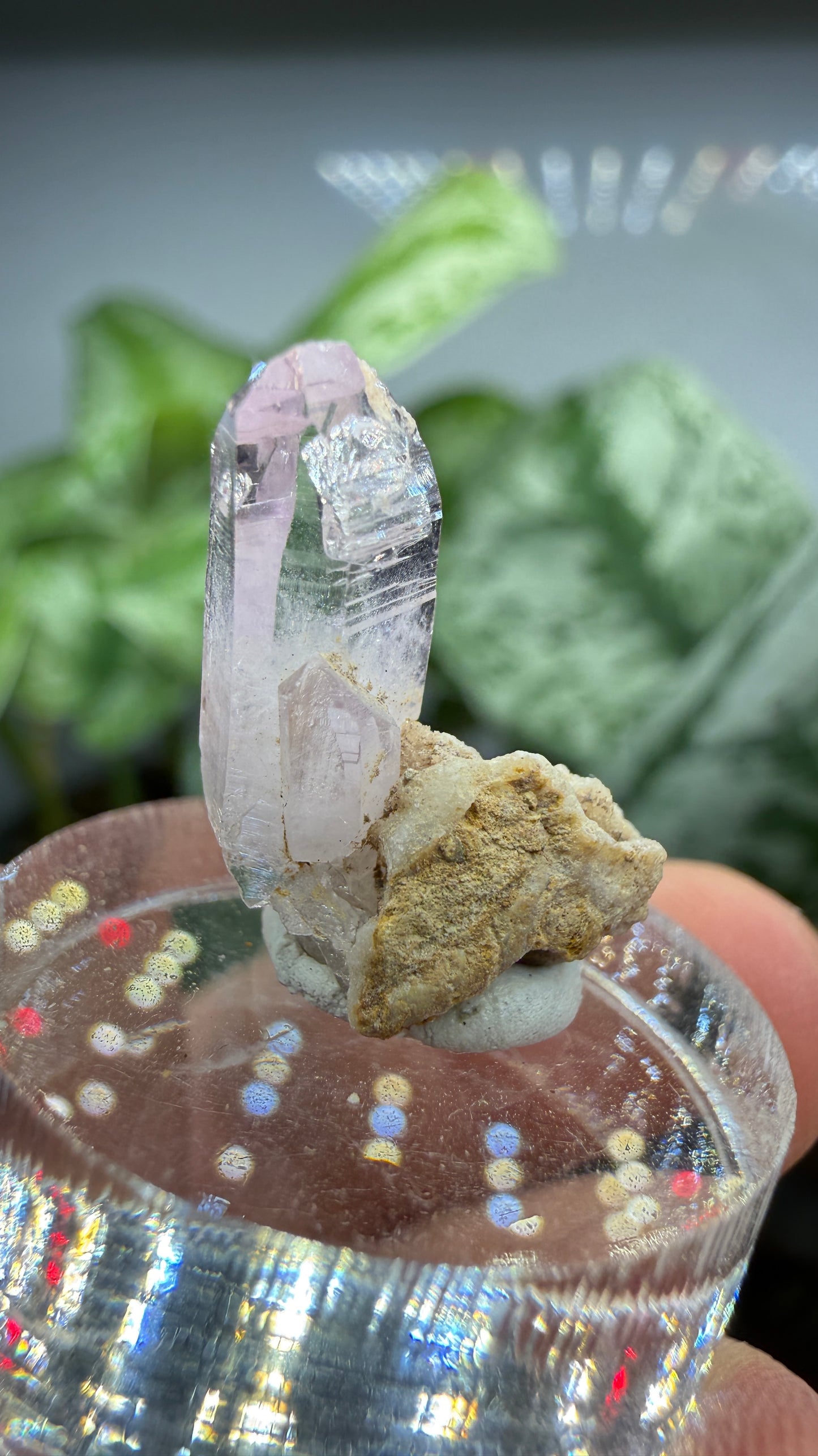 Amethyst- Las Vigas de Ramírez Municipality, Veracruz, Mexico
