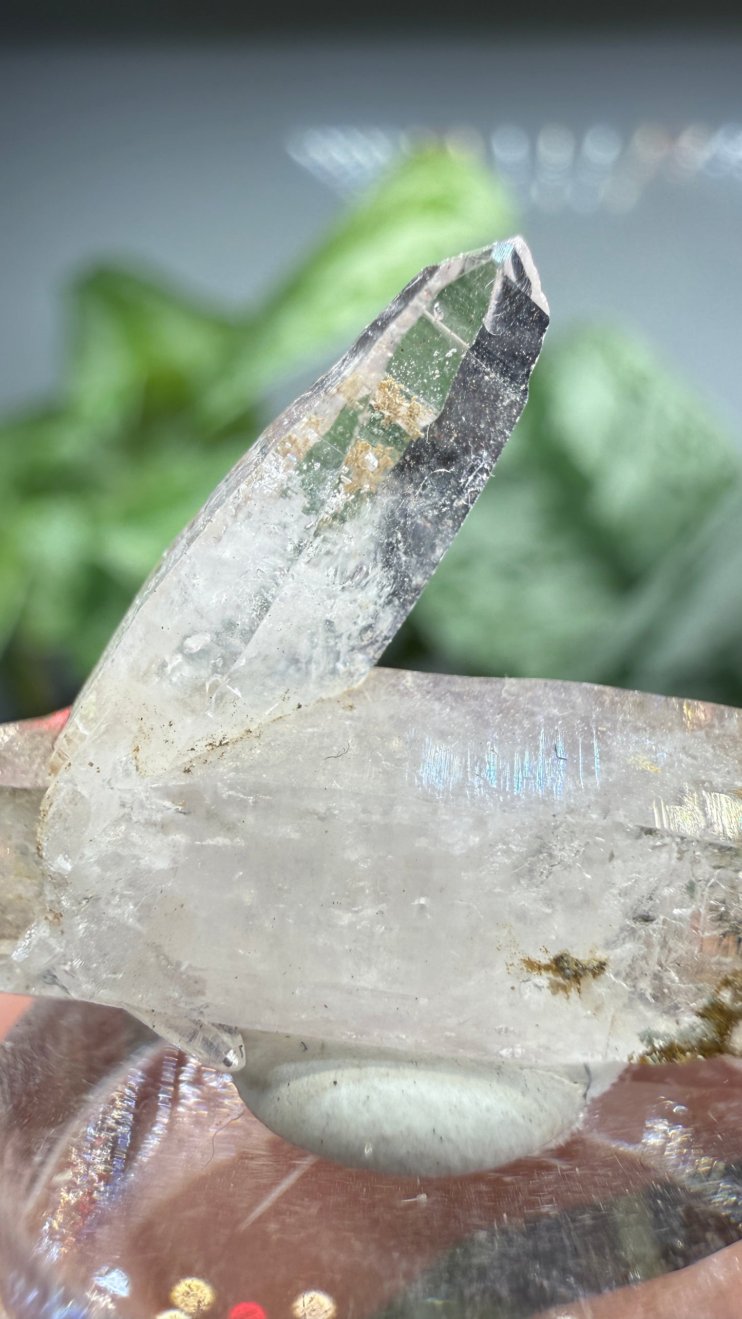 Amethyst- Las Vigas de Ramírez Municipality, Veracruz, Mexico