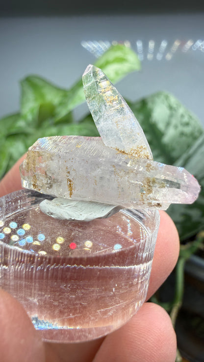 Amethyst- Las Vigas de Ramírez Municipality, Veracruz, Mexico