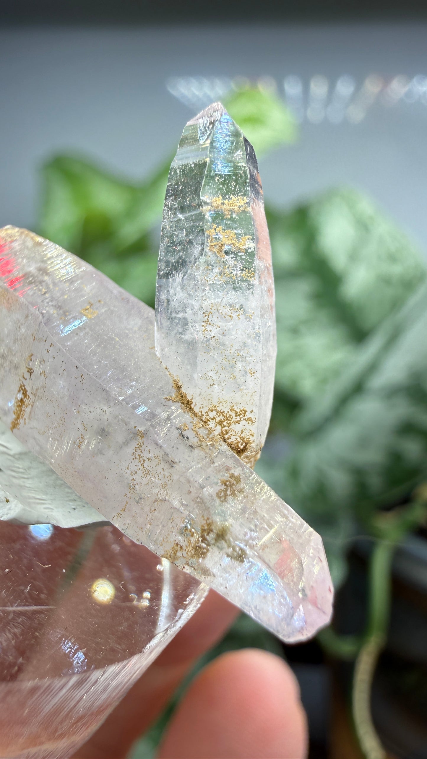 Amethyst- Las Vigas de Ramírez Municipality, Veracruz, Mexico