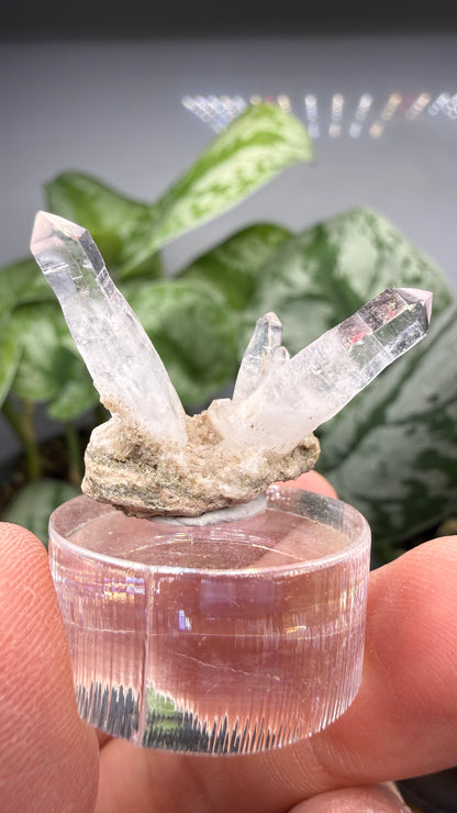 Amethyst- Las Vigas de Ramírez Municipality, Veracruz, Mexico