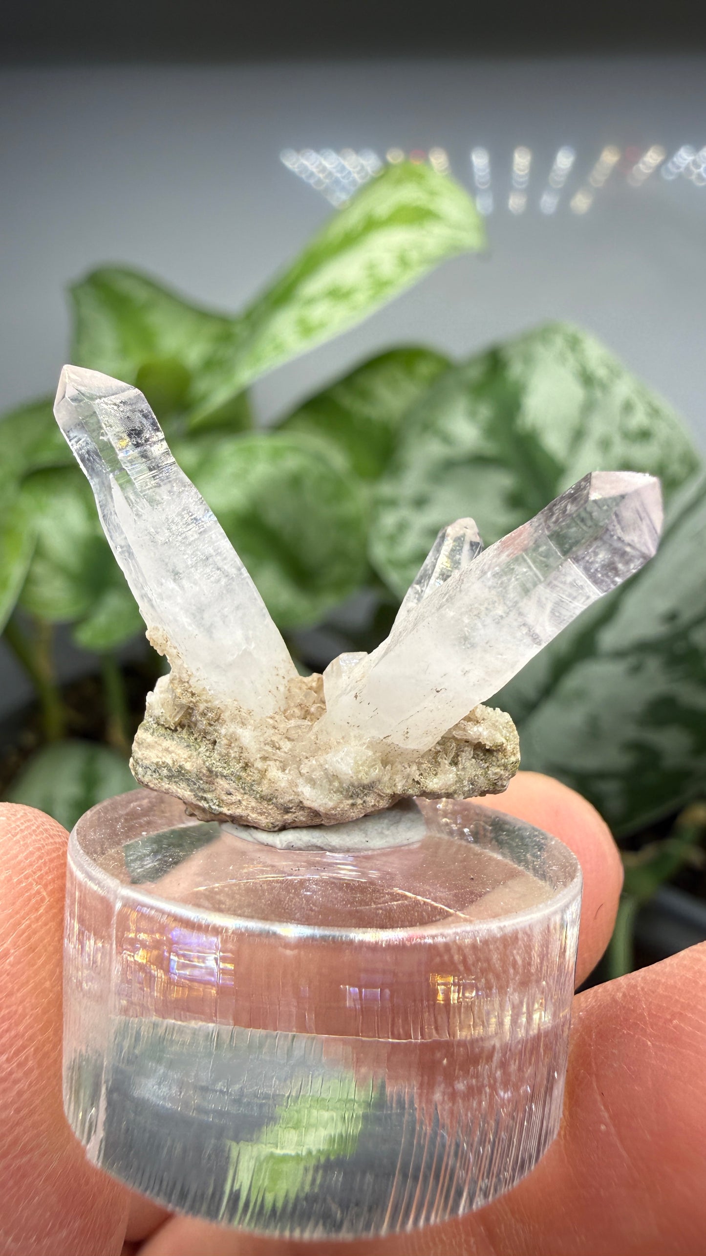 Amethyst- Las Vigas de Ramírez Municipality, Veracruz, Mexico