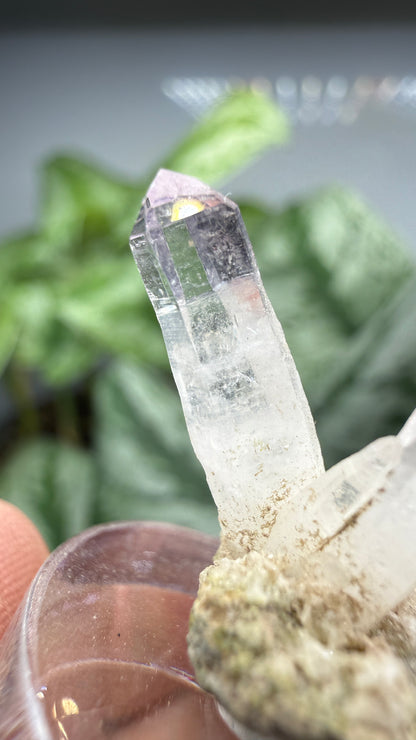 Amethyst- Las Vigas de Ramírez Municipality, Veracruz, Mexico