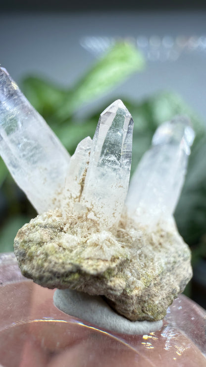 Amethyst- Las Vigas de Ramírez Municipality, Veracruz, Mexico