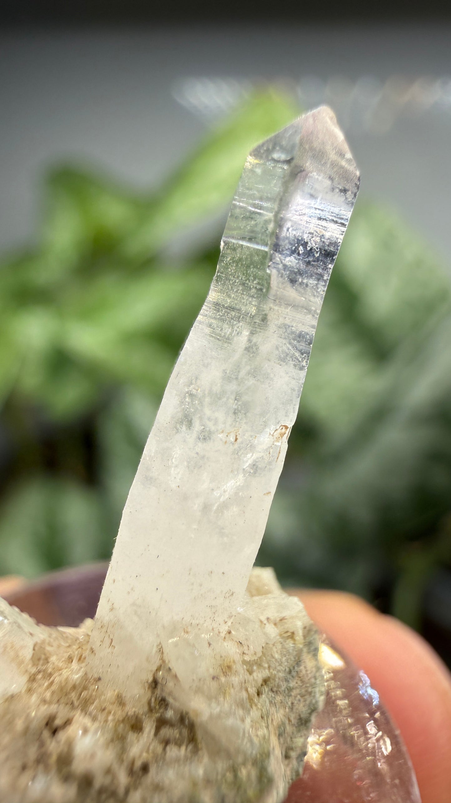 Amethyst- Las Vigas de Ramírez Municipality, Veracruz, Mexico