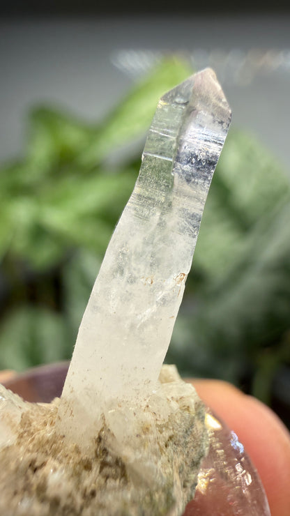 Amethyst- Las Vigas de Ramírez Municipality, Veracruz, Mexico