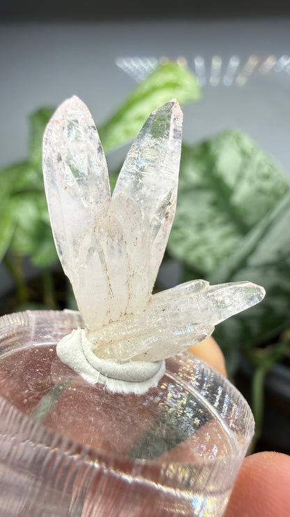 Amethyst, Clear Quartz- Las Vigas de Ramírez Municipality, Veracruz, Mexico