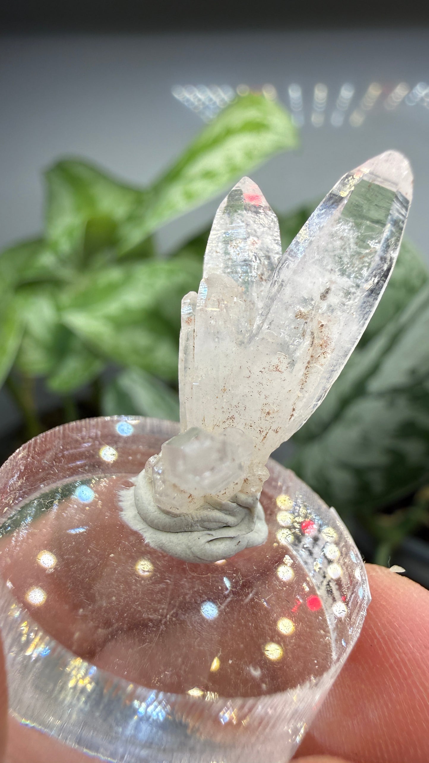 Amethyst, Clear Quartz- Las Vigas de Ramírez Municipality, Veracruz, Mexico
