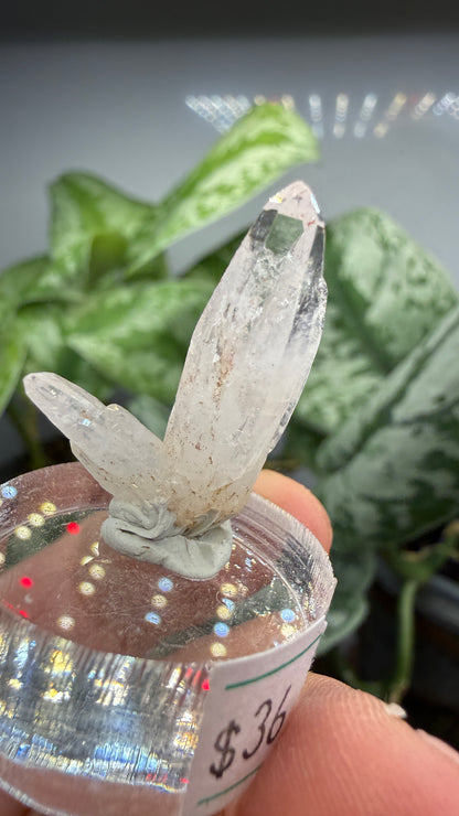 Amethyst, Clear Quartz- Las Vigas de Ramírez Municipality, Veracruz, Mexico